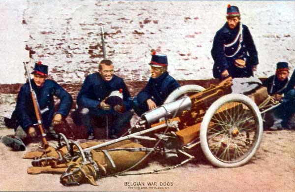 The rubber-tired gun carriage is in strange contrast with the bizarre appearance of these dogs of war, tired out after a stiff march