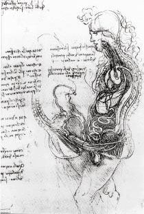 Da Vinci - The Copulation