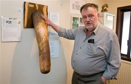 Sigurdur Hjartarson is missing a human penis. But he's not worried: four men have promised to donate theirs to him when they die.		Hjartarson is founder and owner of the Icelandic Phallological Museum, which offers visitors from around the world a close-up look at the long and the short of the male reproductive organ.		His collection, which began in 1974 with a single bull's penis that looked something like a riding crop, now boasts 261 preserved members from 90 species.		The largest, from a sperm whale, is 70 kg (154 lb) and 1.7 meters (5.58 ft) long. The smallest, a hamster penis bone, is just 2 mm and must be viewed through a magnifying glass.		One species conspicuous by its absence is homo sapiens, but that may soon be rectified since a German, an American, an Icelander and a Briton have promised to donate their organs after death, according to certificates on display.		The American, 52-year-old Stan Underwood, supplied a written description of his penis — which he purportedly nick-named 'Elmo' — for display alongside a life-size plastic mould of the member as well as his pledge to donate it.		Hjartarson said the Icelandic donor, a 93-year-old from nearby Akureyri, was a womanizer in his youth who thought having his penis in the collection might bring him eternal fame.		But vanity may make him rethink the offer.		'He has mentioned lately that his penis is shrinking as he gets older and he is worried it might not make a proper exhibit,' Hjartarson said.		Women visitors	The museum, originally opened in Reykjavik in 1997, has now moved to the quiet fishing village of Husavik, 480 km (298 miles) northeast of the capital.		Open from May to September, it is housed in a plain brown building, the entrance marked by a tall brown phallus near the door and a penis-shaped sign over the front porch.		A growing number of people from all over the world view the collection each year, 60 percent of them women.		'We had 6,000 visitors last summer and actually made a profit,' Hjartarson said with a smile.		The specimens, most of which were donated by fishermen, hunters and biologists, are kept in glass jars of formaldehyde or dried and mounted on the wall, creating an atmosphere that is part science lab, part trophy room.		Hjartarson has paid for only one — an elephant penis nearly 1 meter long that hangs, stuffed and mounted on a wooden board, in the museum's 'foreign section.'		He said he began collecting penises 24 years ago, when working as a school administrator, with little notion he would one day be running a museum devoted to the subject.		'It was just a hobby,' he said, adding that the collection was relegated to his office until the inception of the museum.		'They were not on display in the sitting room.'		The museum's 'folklore collection' includes a few sculptures and joke items, but no sex toys or paraphernalia. The more risque displays stay under wraps.		'Two elderly German women came in a while ago and after viewing the exhibit, they scolded me for displaying a group of figurines in Kama Sutra poses, so I put them in here,' Hjartarson said, lifting a black cloth off a glass-topped box labeled 'Erotica'.		'This way nobody has to view them unless they want to.'		Hjartarson maintains a light-hearted approach to his delicate subject matter, saying a sense of humor and a bit of intelligence are necessary to appreciate the collection.		'I hope visitors leave the museum in a better mood than when they arrived,' he said.