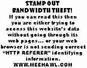 The Photo Shah shop in Kandahar specializes in gaudily retouched portraits ... Despite a religious ban on the reproduction of the human image, many Taliban had their photographs taken, often with close friends