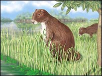 FUCKING HUGE RODENT
